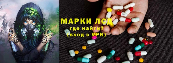 шишки Ростов