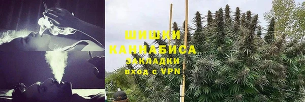амф Аркадак